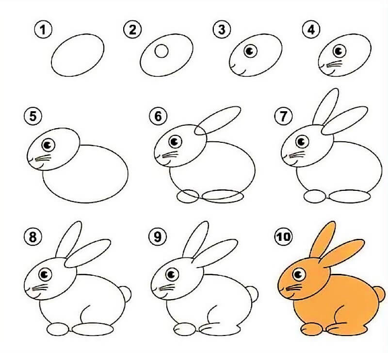 Idée de lapin 10 dessin