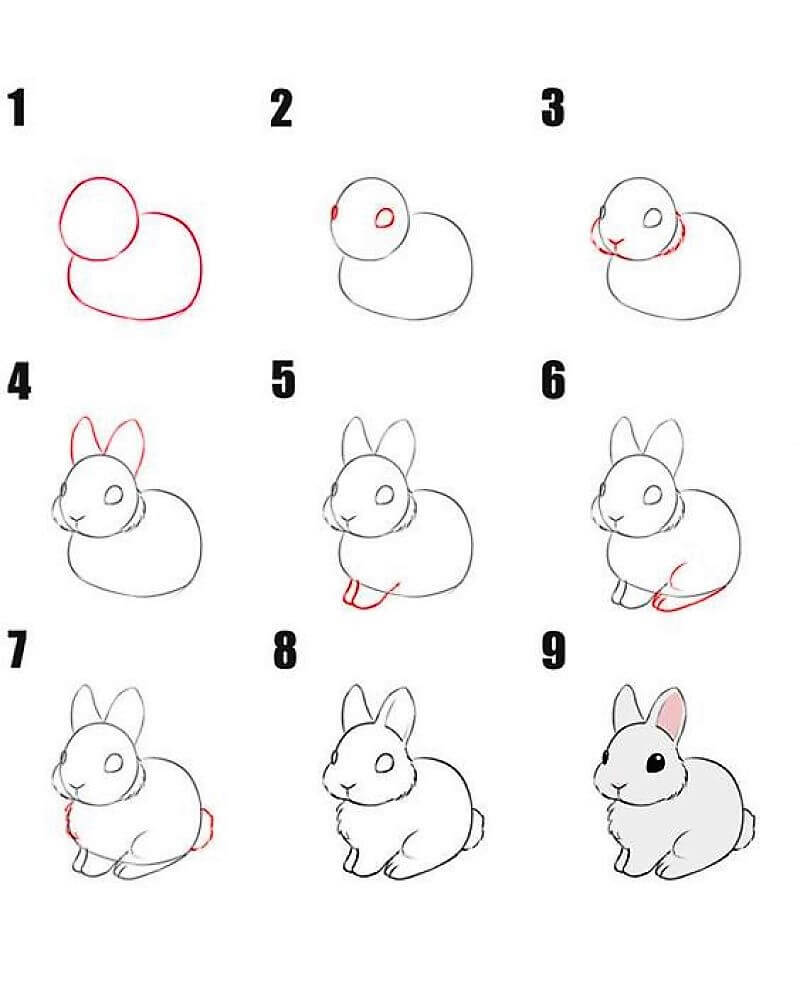 Idée de lapin 14 dessin