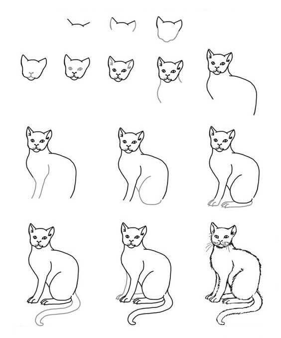 idées de chat (25) dessin
