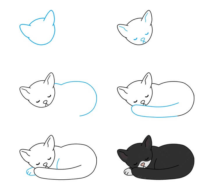 idées de chat (50) dessin