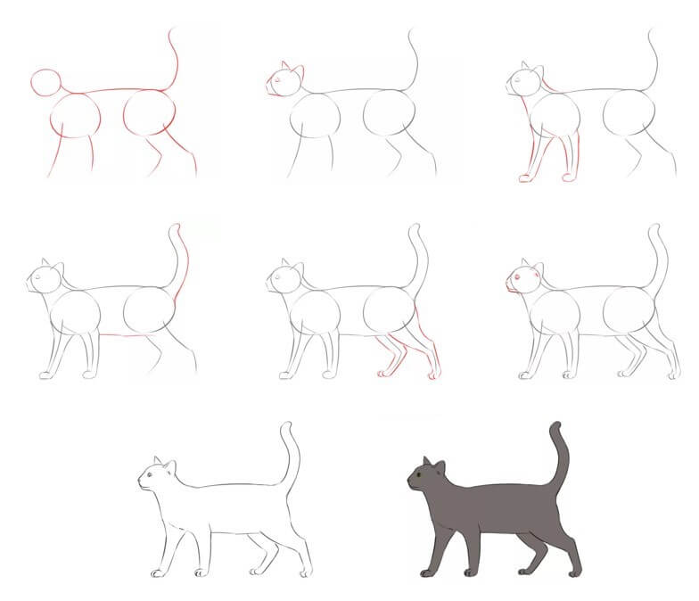 idées de chat (60) dessin