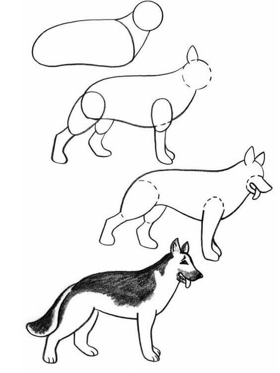 Idées de chiens (10) dessin