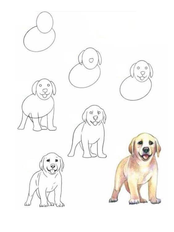 Idées de chiens (20) dessin