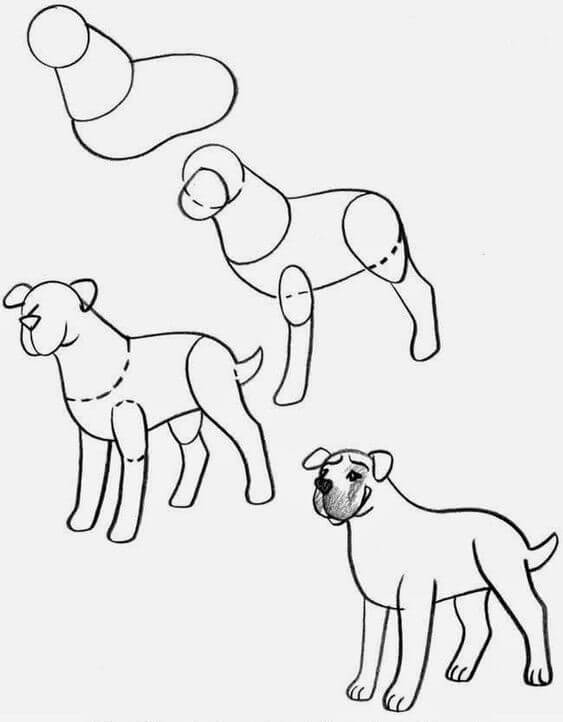 Idées de chiens (30) dessin