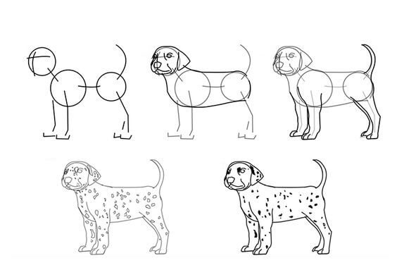 Idées de chiens (9) dessin