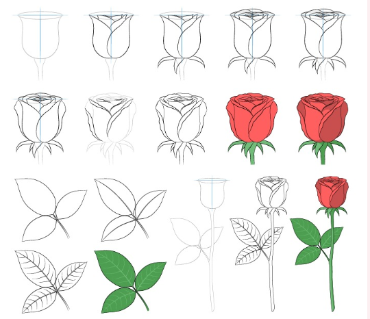 idées de roses (1) dessin