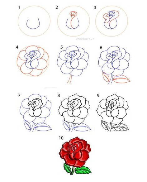 idées de roses (17) dessin