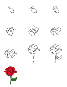 idées de roses (8) dessin