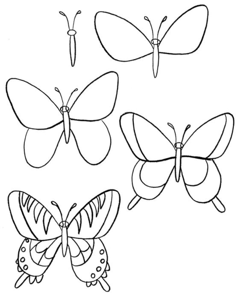 Papillon pour les enfants dessin