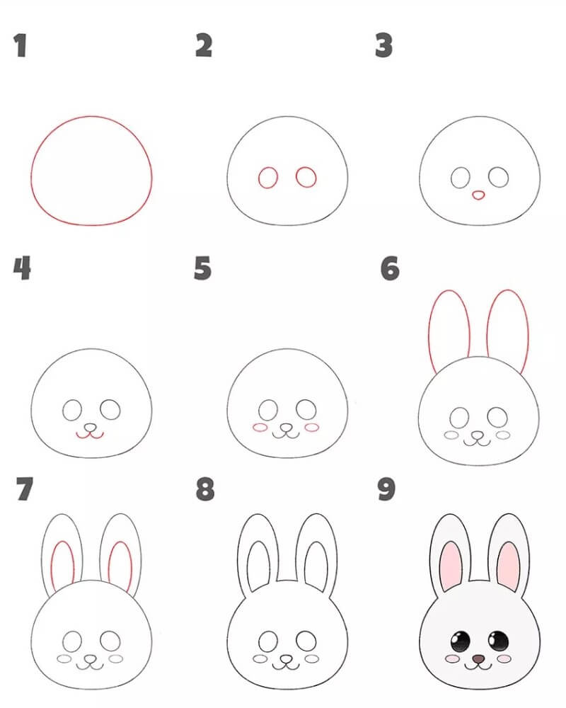 Comment dessiner Tête de lapin