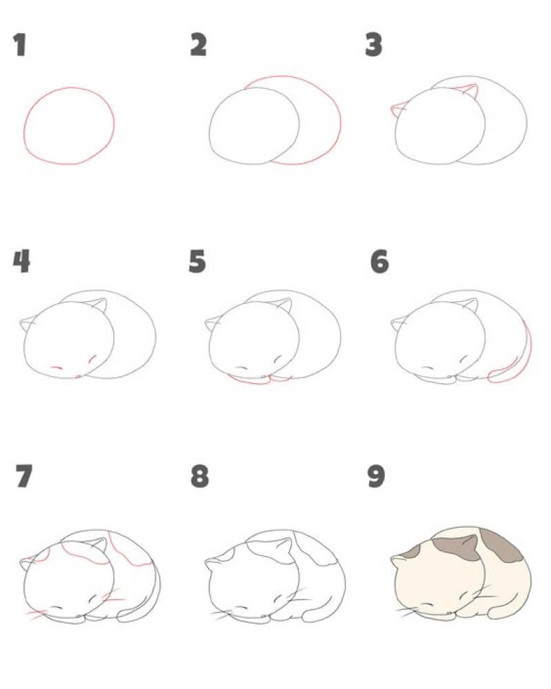 Comment dessiner Un chat endormi