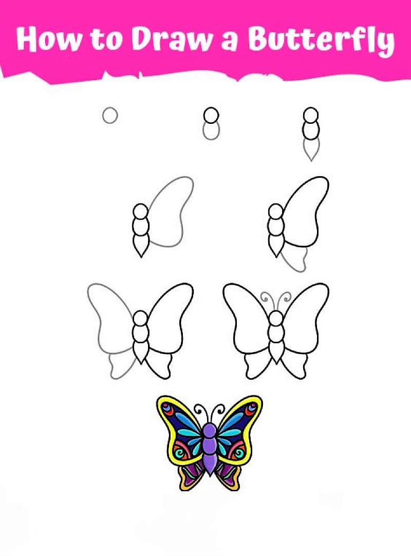Un papillon coloré facile dessin