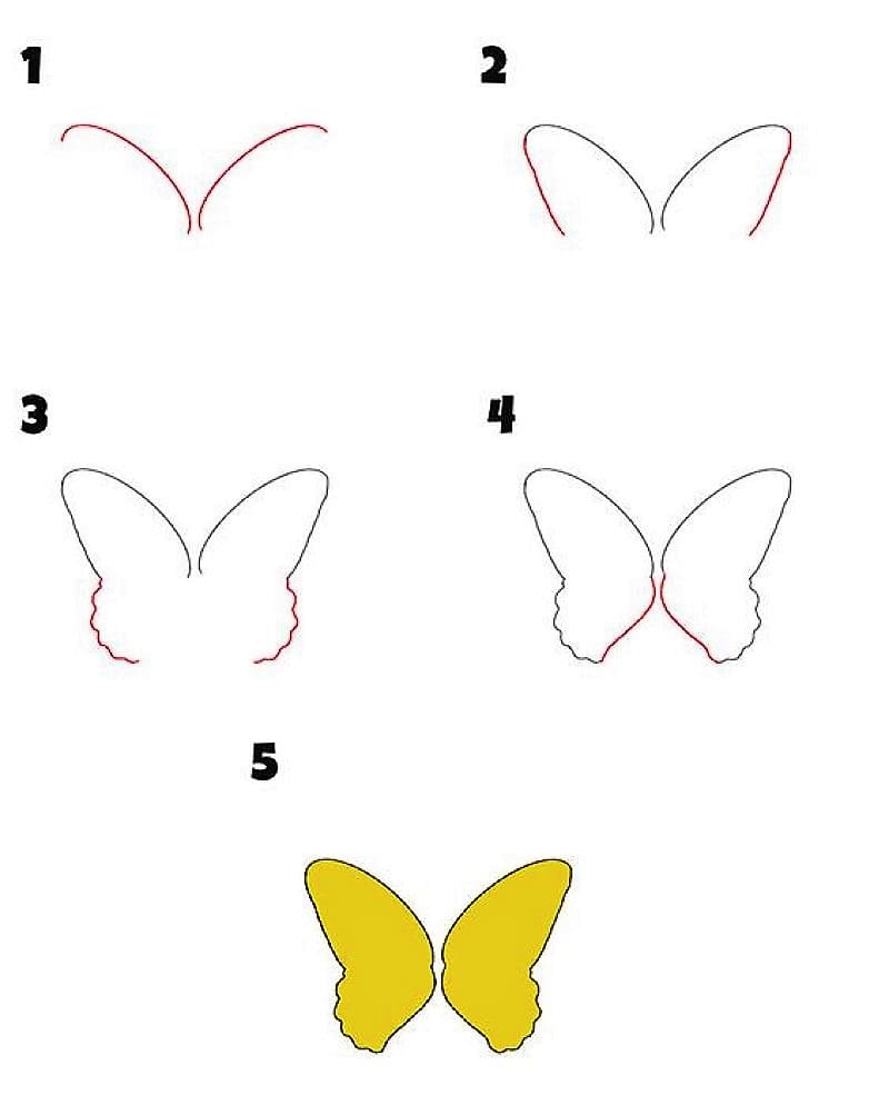 Un papillon facile dessin