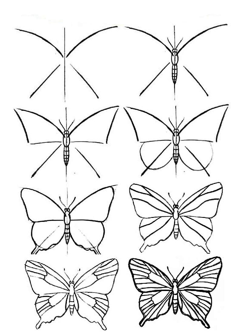 Un vieux papillon dessin