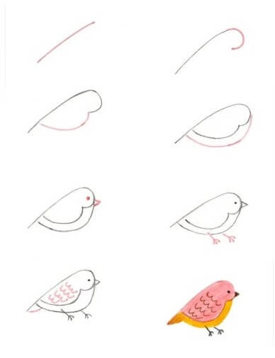 Bébé oiseau (2) dessin