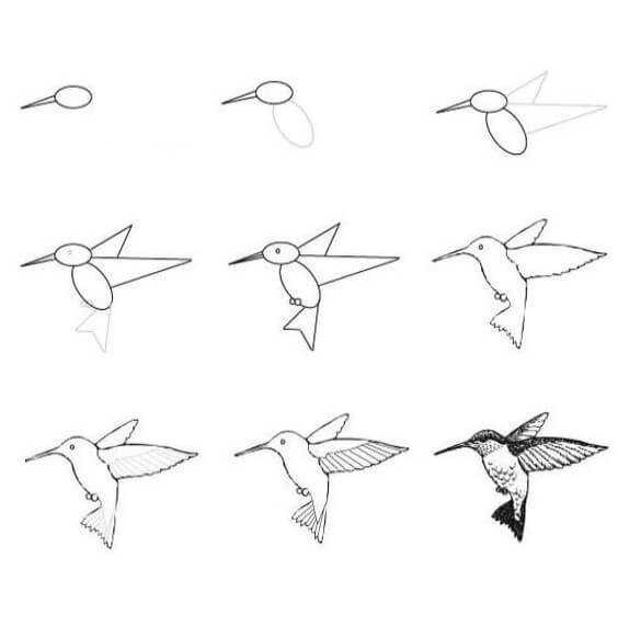 Colibri (1) dessin