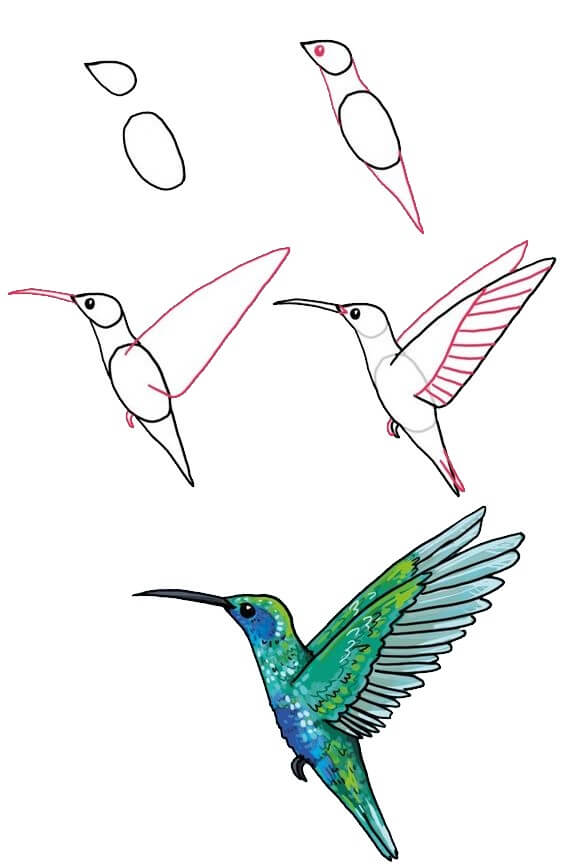 Colibri (2) dessin