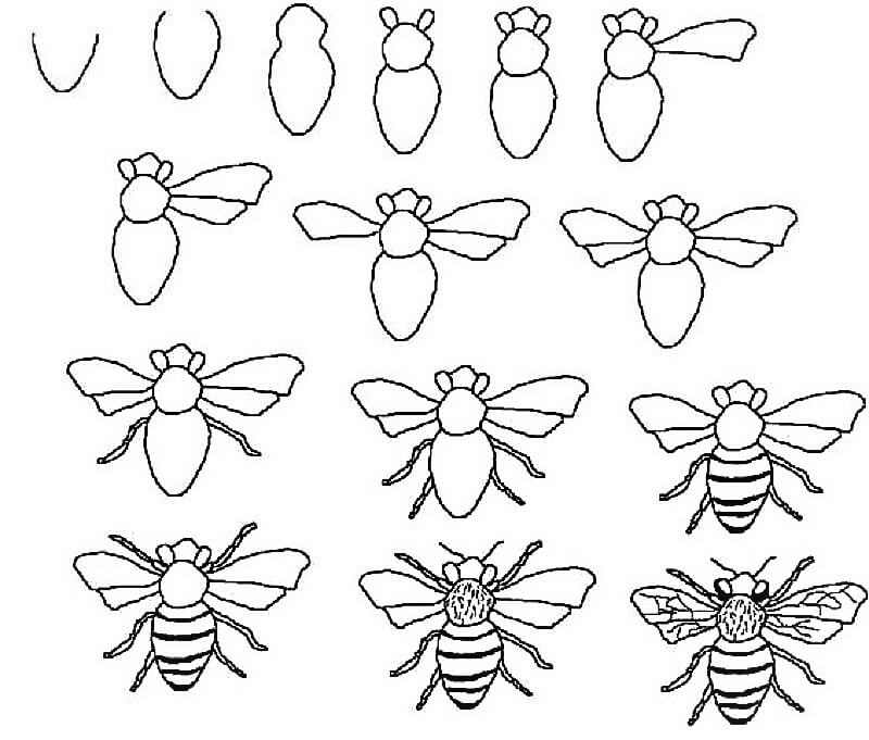 Idée d'abeille 12 dessin