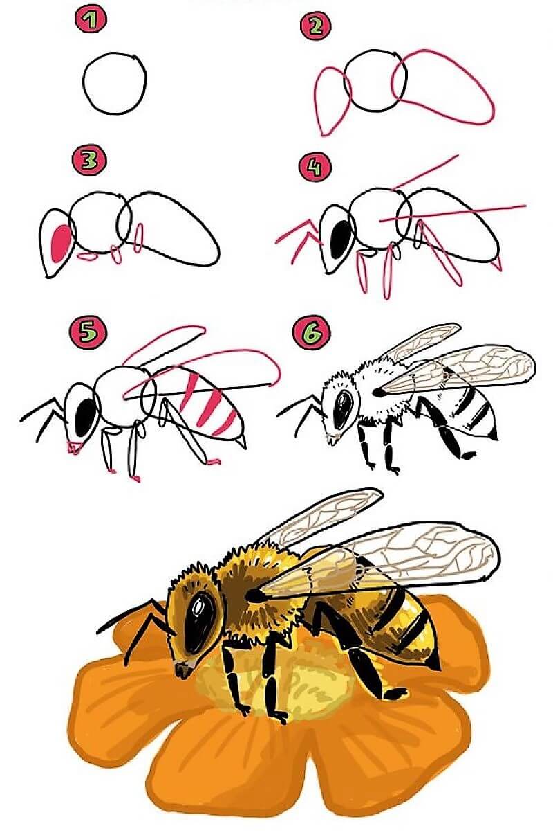 Idée d'abeille 15 dessin