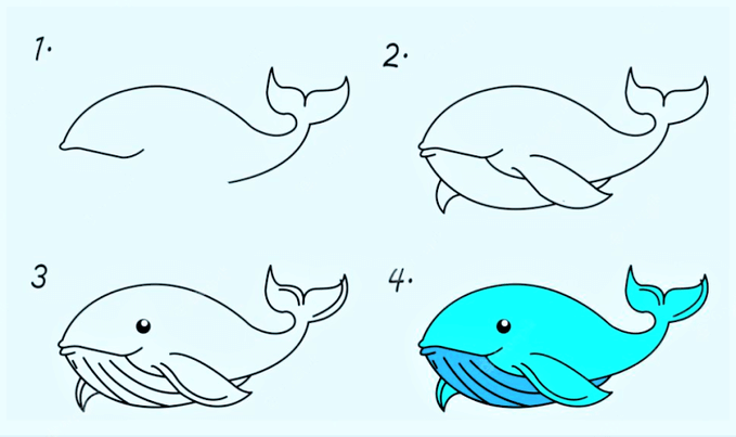 Idée de baleine 11 dessin