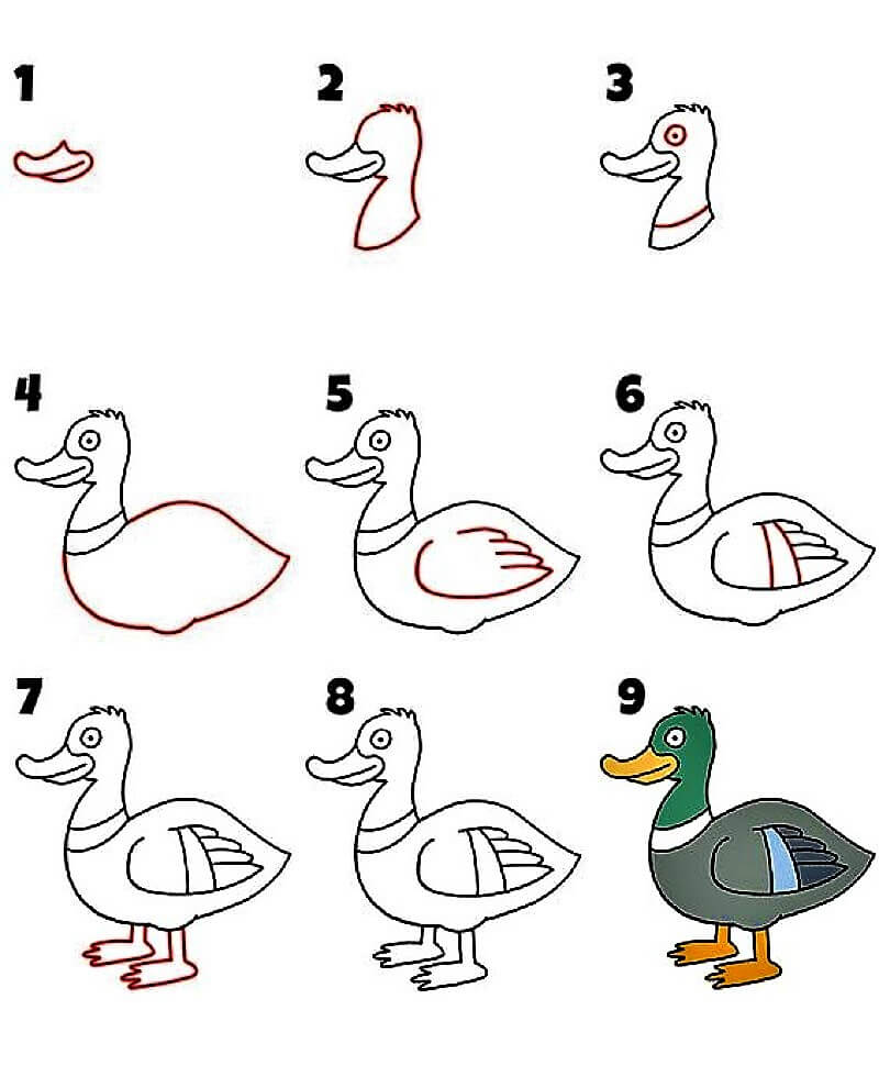 Idée de canard 10 dessin
