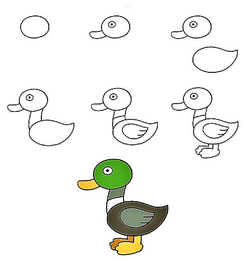 Comment dessiner Idée de canard 11