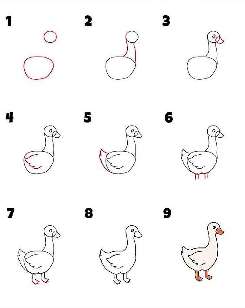 Comment dessiner Idée de canard 13