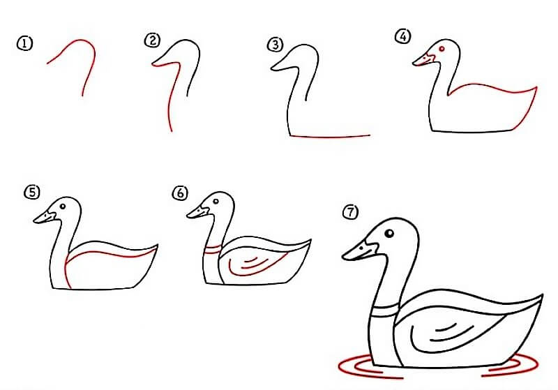 Idée de canard 14 dessin