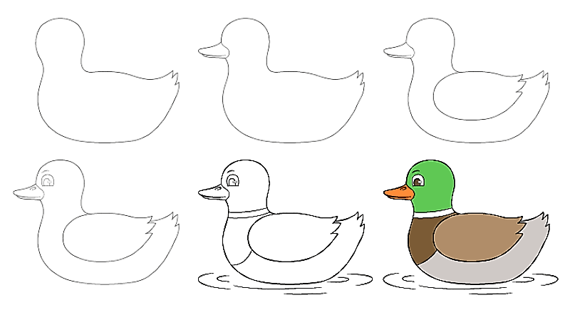 Idée de canard 9 dessin