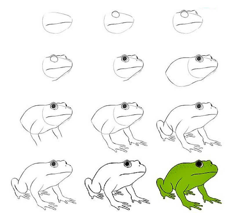 Idée de grenouille 15 dessin