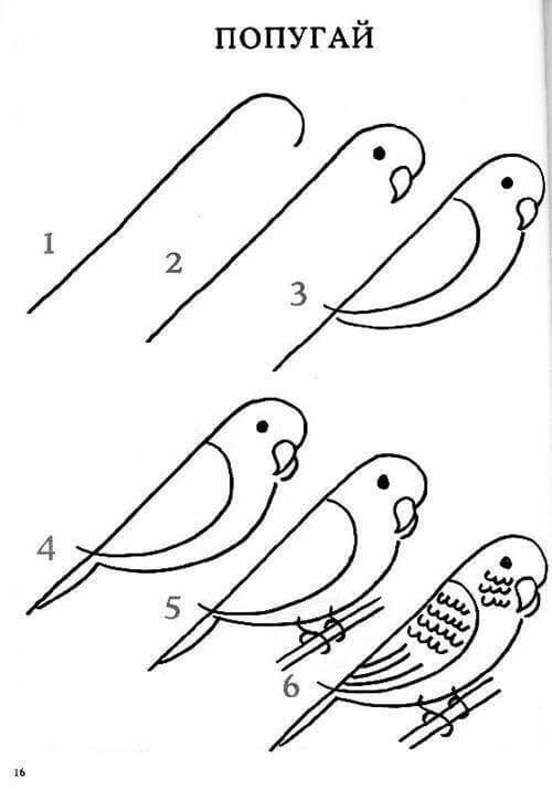 Idée d'oiseau 7 dessin