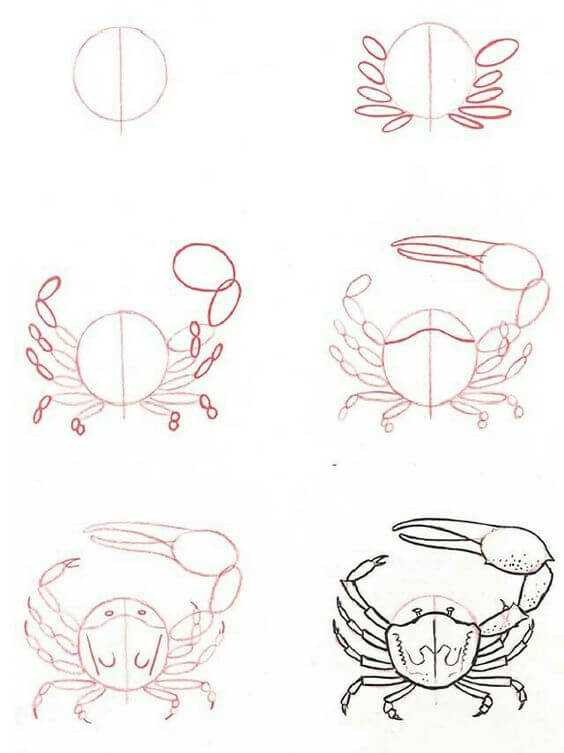 idée de crabe (25) dessin