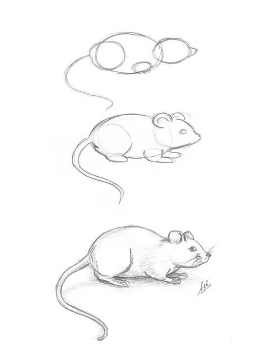 idée de souris (19) dessin