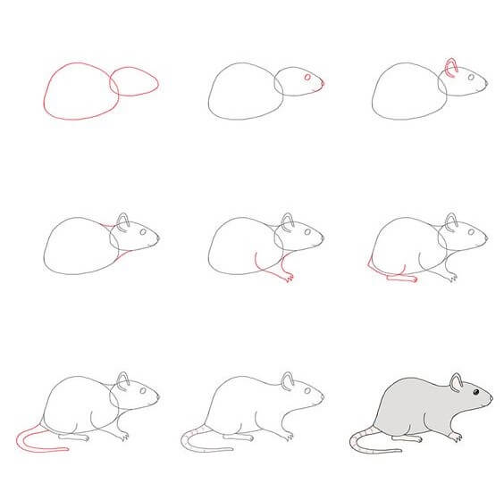 idée de souris (4) dessin