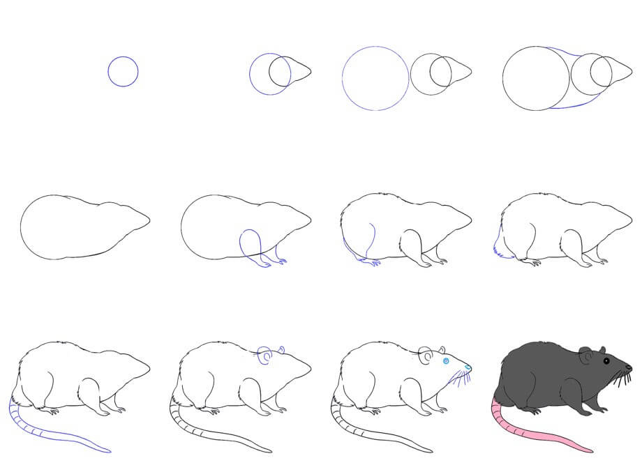 idée de souris (40) dessin