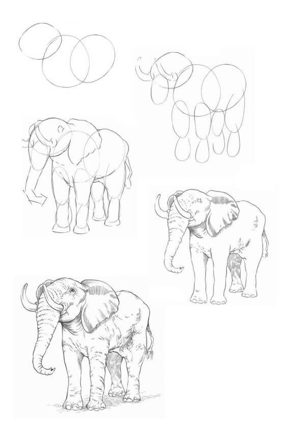 idée d'éléphant (15) dessin