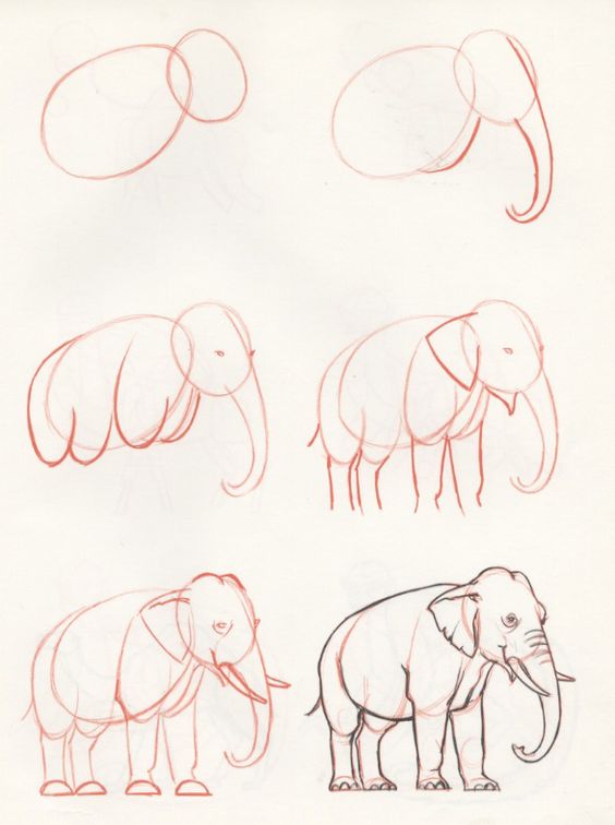 idée d'éléphant (16) dessin