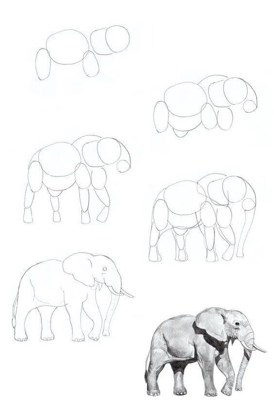 idée d'éléphant (19) dessin