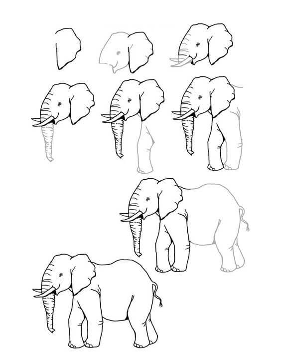 idée d’éléphant (35) dessin