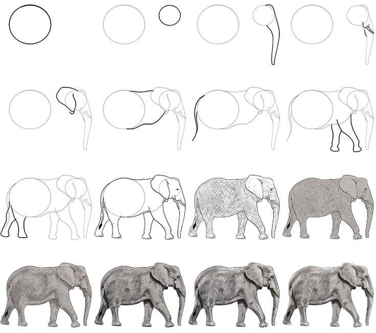 idée d'éléphant (38) dessin