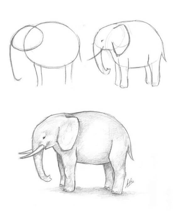 idée d'éléphant (40) dessin