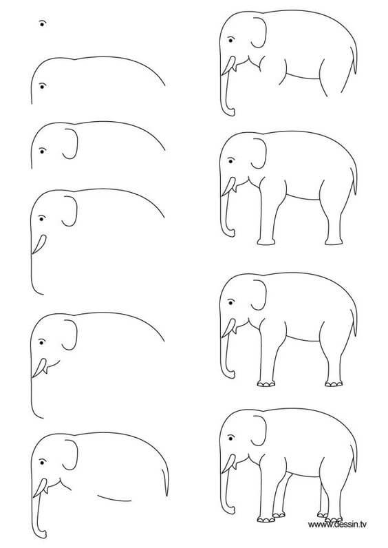 idée d’éléphant (50) dessin