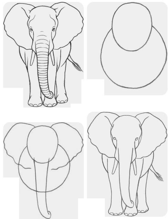 idée d'éléphant (6) dessin
