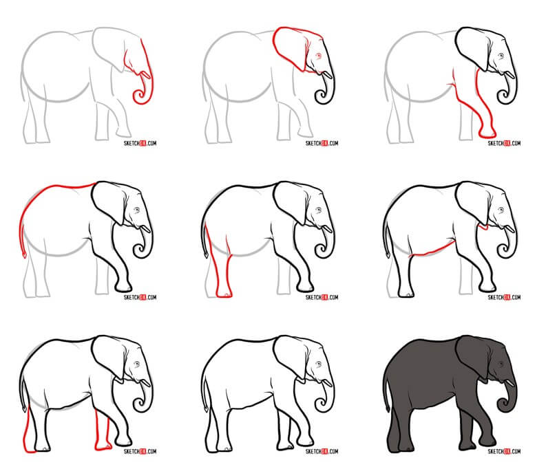 idée d'éléphant (64) dessin