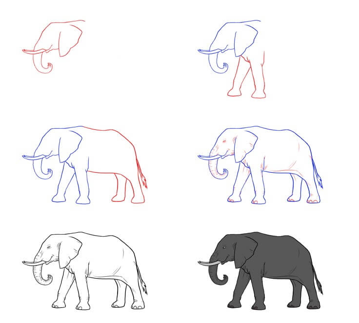 idée d'éléphant (70) dessin