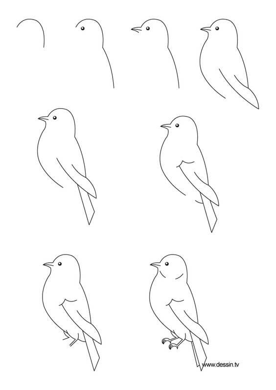 Idée d'oiseau (10) dessin