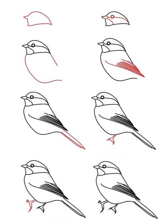 Idée d'oiseau (11) dessin