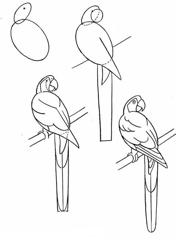 Idée d'oiseau (12) dessin