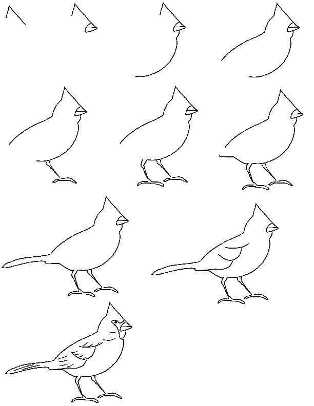 Idée d'oiseau (13) dessin