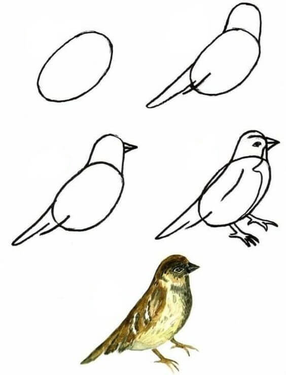 Idée d'oiseau (14) dessin